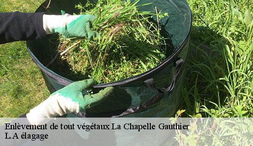 Enlèvement de tout végétaux  la-chapelle-gauthier-77720 L.A élagage 