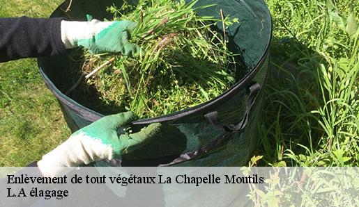 Enlèvement de tout végétaux  la-chapelle-moutils-77320 L.A élagage 