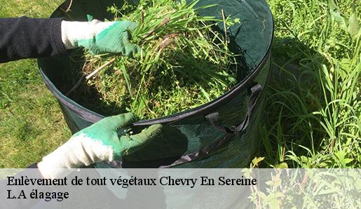 Enlèvement de tout végétaux  chevry-en-sereine-77710 L.A élagage 