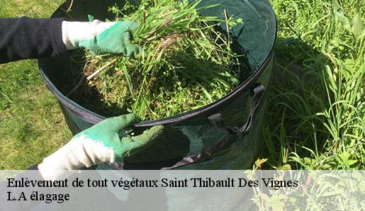 Enlèvement de tout végétaux  saint-thibault-des-vignes-77400 L.A élagage 