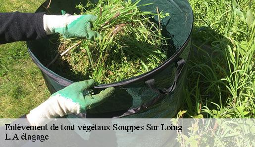 Enlèvement de tout végétaux  souppes-sur-loing-77460 L.A élagage 