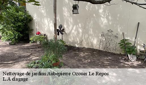 Nettoyage de jardins  aubepierre-ozouer-le-repos-77720 L.A élagage 