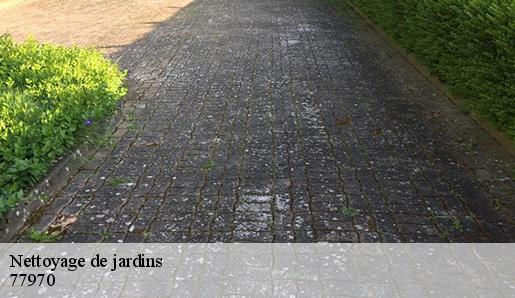 Nettoyage de jardins  77970