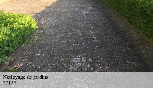 Nettoyage de jardins  77157