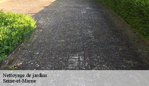 Nettoyage de jardins  