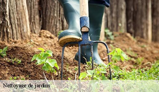 Nettoyage de jardins  