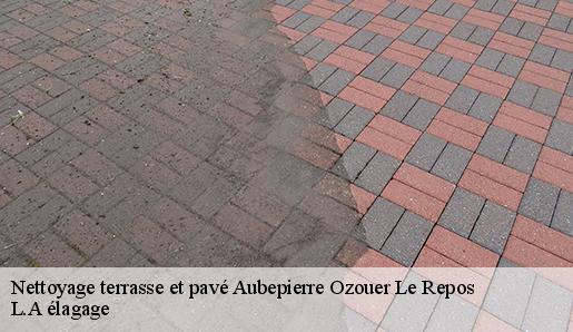 Nettoyage terrasse et pavé  aubepierre-ozouer-le-repos-77720 L.A élagage 