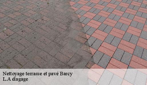 Nettoyage terrasse et pavé  barcy-77910 L.A élagage 