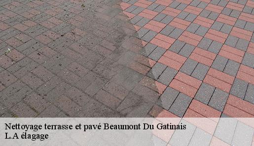 Nettoyage terrasse et pavé  beaumont-du-gatinais-77890 L.A élagage 