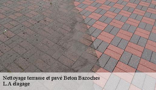 Nettoyage terrasse et pavé  beton-bazoches-77320 L.A élagage 