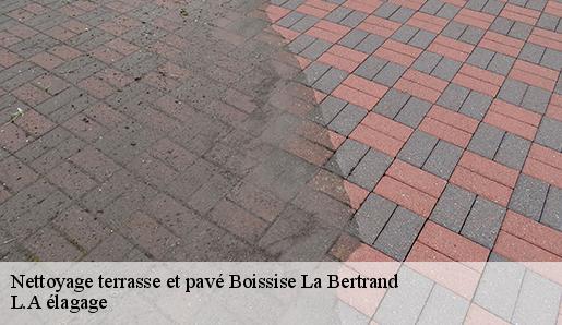 Nettoyage terrasse et pavé  boissise-la-bertrand-77350 L.A élagage 