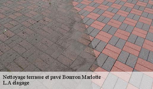 Nettoyage terrasse et pavé  bourron-marlotte-77780 L.A élagage 