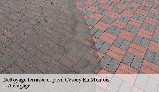 Nettoyage terrasse et pavé  cessoy-en-montois-77520 L.A élagage 