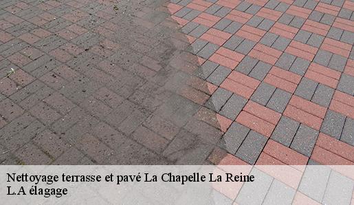 Nettoyage terrasse et pavé  la-chapelle-la-reine-77760 L.A élagage 