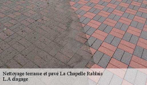 Nettoyage terrasse et pavé  la-chapelle-rablais-77370 L.A élagage 