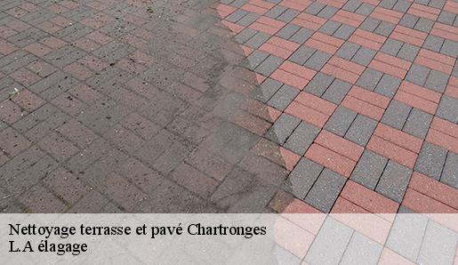 Nettoyage terrasse et pavé  chartronges-77320 L.A élagage 