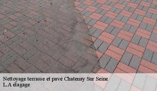 Nettoyage terrasse et pavé  chatenay-sur-seine-77126 L.A élagage 