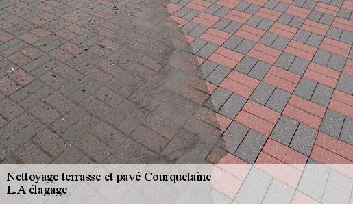 Nettoyage terrasse et pavé  courquetaine-77390 L.A élagage 