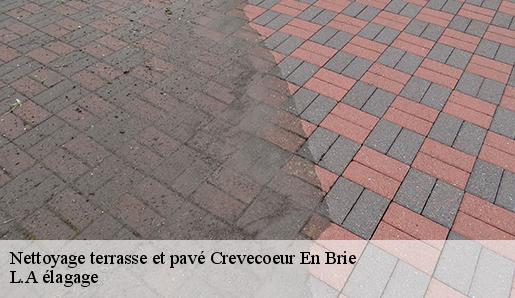 Nettoyage terrasse et pavé  crevecoeur-en-brie-77610 L.A élagage 