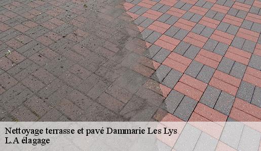 Nettoyage terrasse et pavé  dammarie-les-lys-77190 L.A élagage 