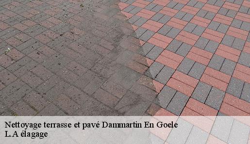 Nettoyage terrasse et pavé  dammartin-en-goele-77230 L.A élagage 