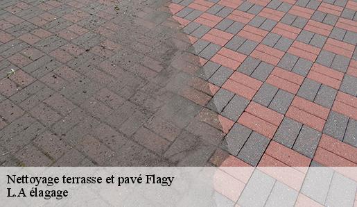 Nettoyage terrasse et pavé  flagy-77940 L.A élagage 