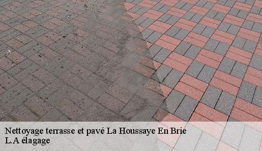 Nettoyage terrasse et pavé  la-houssaye-en-brie-77610 L.A élagage 