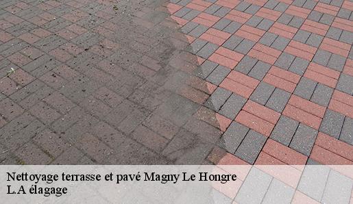 Nettoyage terrasse et pavé  magny-le-hongre-77700 L.A élagage 