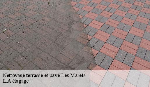 Nettoyage terrasse et pavé  les-marets-77560 L.A élagage 