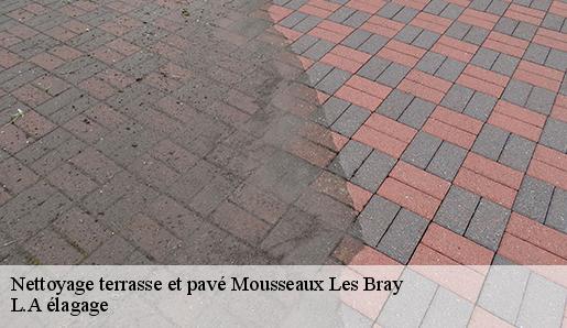 Nettoyage terrasse et pavé  mousseaux-les-bray-77480 L.A élagage 