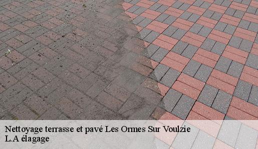 Nettoyage terrasse et pavé  les-ormes-sur-voulzie-77134 L.A élagage 