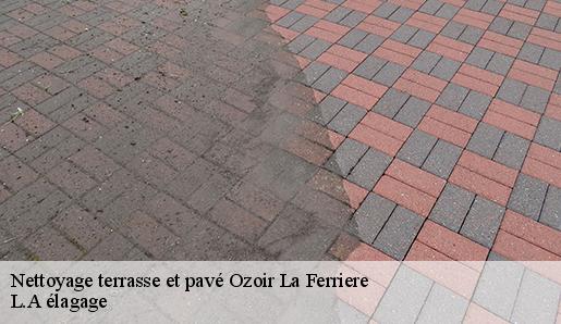 Nettoyage terrasse et pavé  ozoir-la-ferriere-77330 L.A élagage 