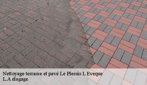 Nettoyage terrasse et pavé  le-plessis-l-eveque-77165 L.A élagage 