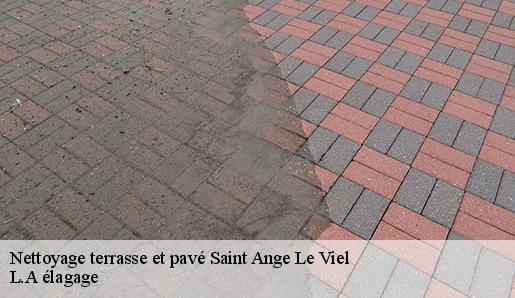 Nettoyage terrasse et pavé  saint-ange-le-viel-77710 L.A élagage 