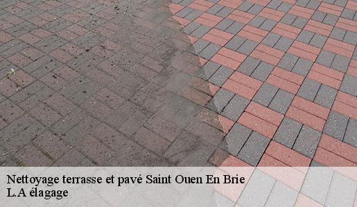 Nettoyage terrasse et pavé  saint-ouen-en-brie-77720 L.A élagage 