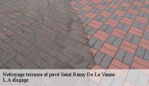 Nettoyage terrasse et pavé  saint-remy-de-la-vanne-77320 L.A élagage 