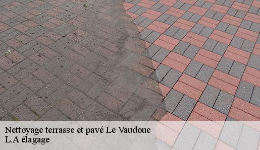 Nettoyage terrasse et pavé  le-vaudoue-77123 L.A élagage 