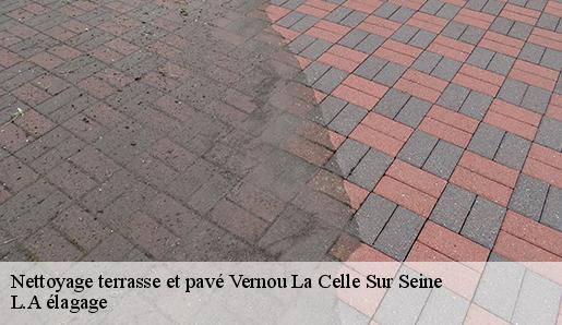 Nettoyage terrasse et pavé  vernou-la-celle-sur-seine-77670 L.A élagage 