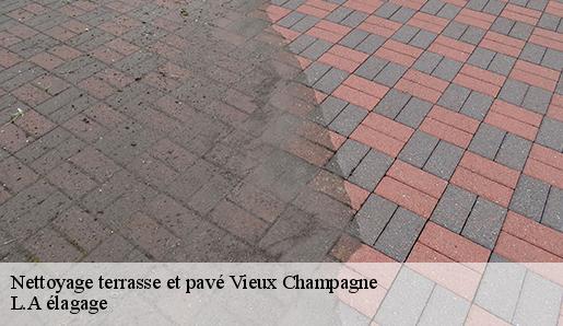 Nettoyage terrasse et pavé  vieux-champagne-77370 L.A élagage 