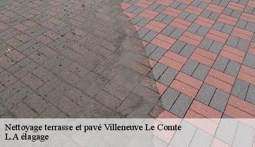 Nettoyage terrasse et pavé  villeneuve-le-comte-77174 L.A élagage 