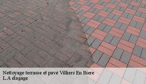 Nettoyage terrasse et pavé  villiers-en-biere-77190 L.A élagage 