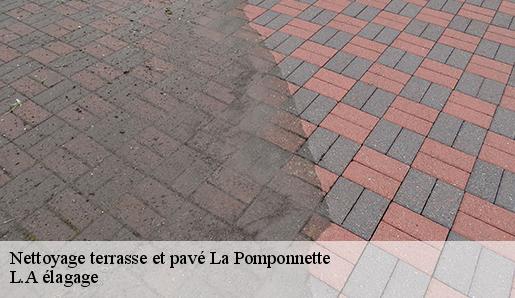 Nettoyage terrasse et pavé  la-pomponnette-77400 L.A élagage 